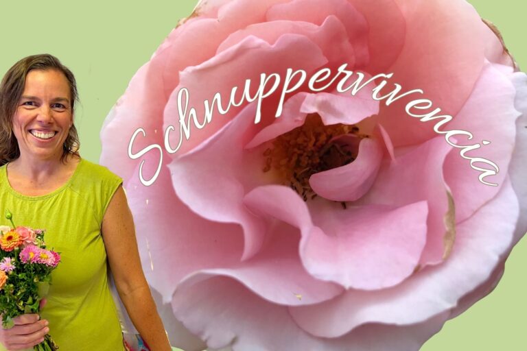 Aromatherapie-Biodanza-Schnuppervivencia-Helen-Rupp-Reutlingen