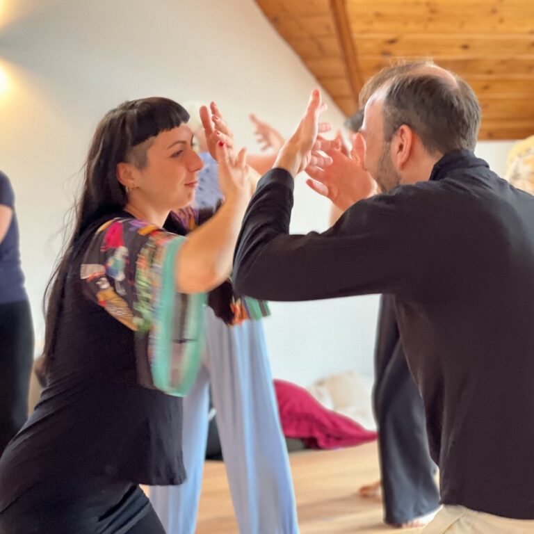 Wochenend-Seminar „Unsere Gefühle in Bewegung“ | 6. Ausbildungsmodul Psychologische Aspekte von Biodanza | Sa 14. November 10:00 – 19:00 Uhr & So 15. November 10:00 – 17:00 Uhr | Seminarhaus Atha (Ammerbuch)